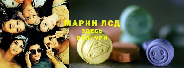 гашик Корсаков