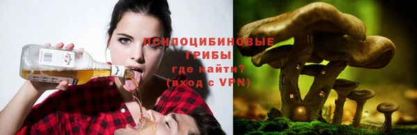 гашик Корсаков