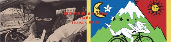 гашик Корсаков