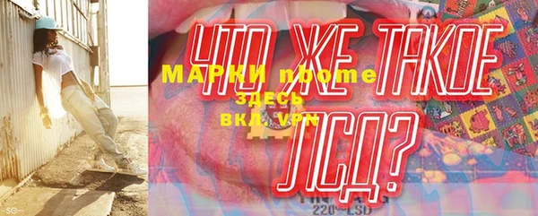 гашик Корсаков