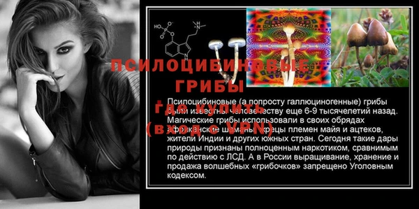 гашик Корсаков