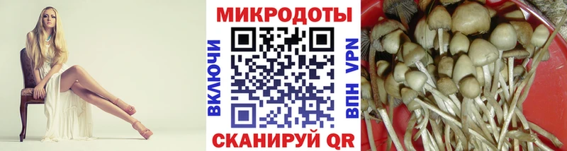 Купить  Верхнеуральск  Псилоцибиновые грибы Cubensis 